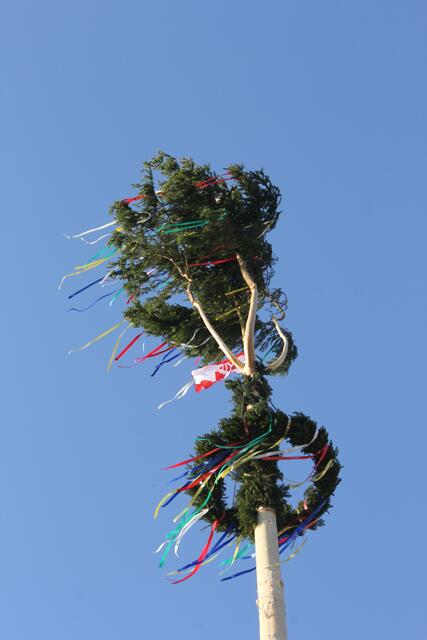 Foto: Walter Kellner