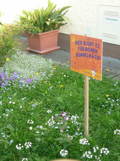 Foto: Herbert Pointner