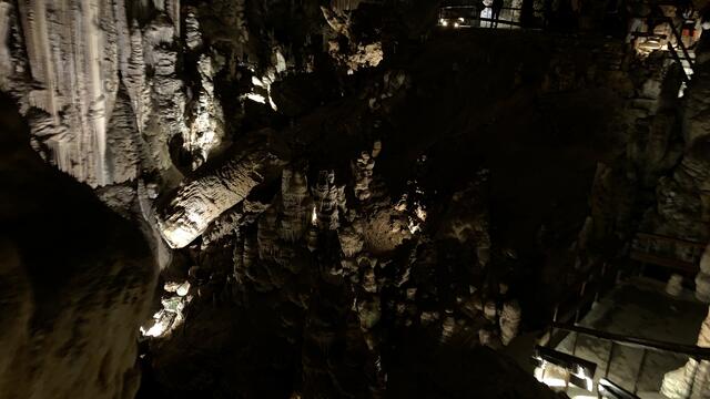 Foto: Angelina Kaiser