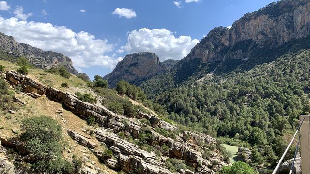 Foto: Angelina Kaiser