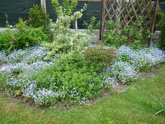 Foto: Herbert Pointner