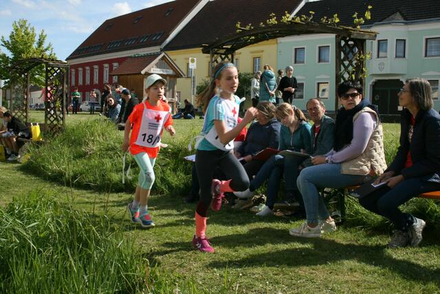 Foto: Heidemarie Horak