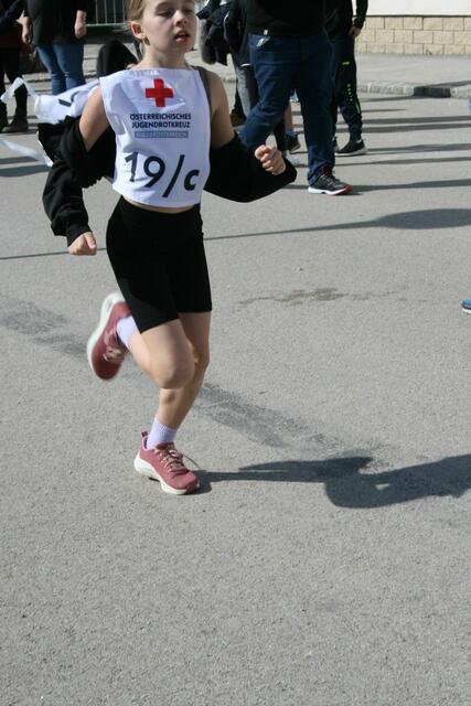 Foto: Heidemarie Horak
