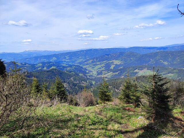 bei einer Verschnaufpause ins Stanzertal geblickt, rechts zeigt sich die Bergkette mit dem Alpl... | Foto: I.Wozonig