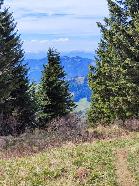 der schmale Steig windet sich den Berg hinauf... | Foto: I. Wozonig