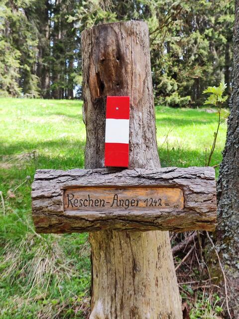 jetzt haben wir schon ein schönes Stück geschafft... | Foto: I.Wozonig