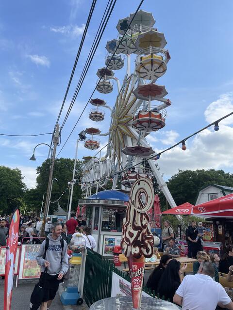 Vom Riesenrad am Böhmischen Prater hat man eine Aussicht über ganz Wien. | Foto: Mario Popp/RMW
