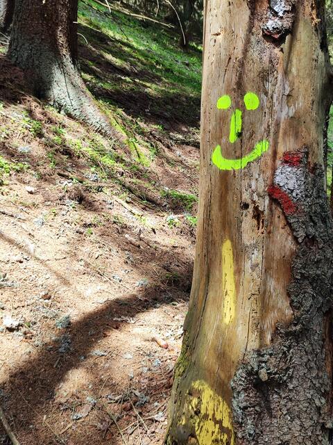 netter Mutmacher am Wegrand... | Foto: I.Wozonig