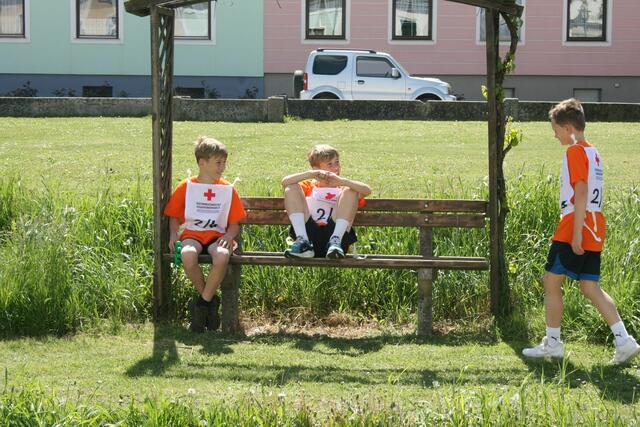 Foto: Heidemarie Horak
