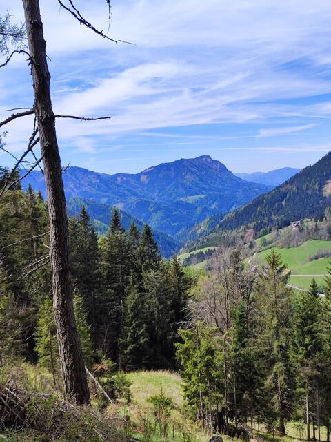 auch der Blick zum Hochlantsch ist lohnend, im Tal liegt der Ort Breitenau, den man vom Murtal kommend erreichen kann... | Foto: I.Wozonig