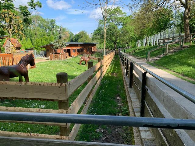 Ein zweiter Zaun soll die Tiere nun schützen. Ein missachtetes Fütterungsverbot führte zu Krankheitsfällen bei den Tieren.  | Foto: z.V.g