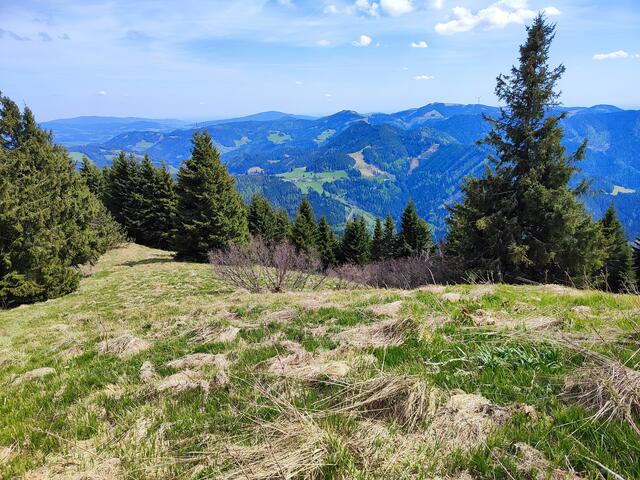 ... und nach einer Pause treten wir den Rückweg an - auf der Wiese in der Mitte des Bildes ist der Parkplatz... | Foto: I.Wozonig