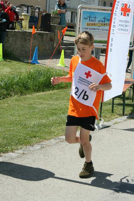 Foto: Heidemarie Horak