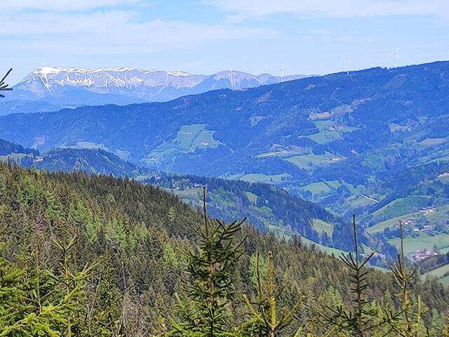 vom Mürztal grüßt die hohe Veitsch herüber... | Foto: I.Wozonig