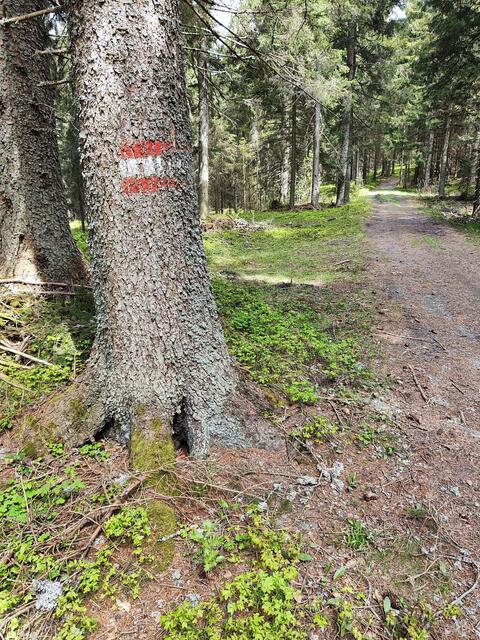 wir halten uns an die Markierung 738, dann an 702... | Foto: I.Wozonig