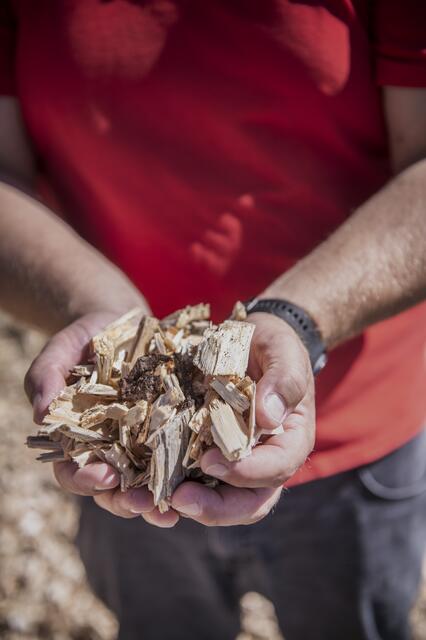 Der Naturwärmeausbau auf Biomasse-Basis spielt dem Umweltschutz in die Hände. | Foto: EVN / Matejschek