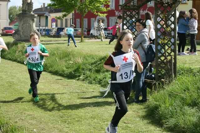 Foto: Heidemarie Horak