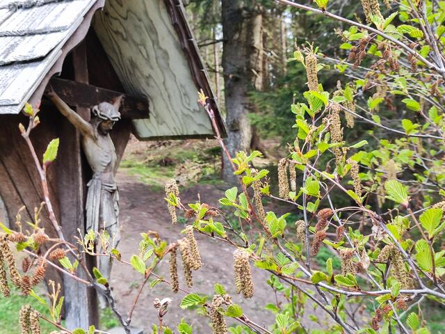 immer wieder sind berührende Wallfahrerkreuze am Wegrand... | Foto: I.Wozonig