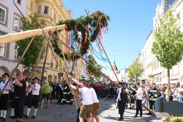 Maibaumaufstellen am Welser Stadtplatz. | Foto: Sona Hasoyan