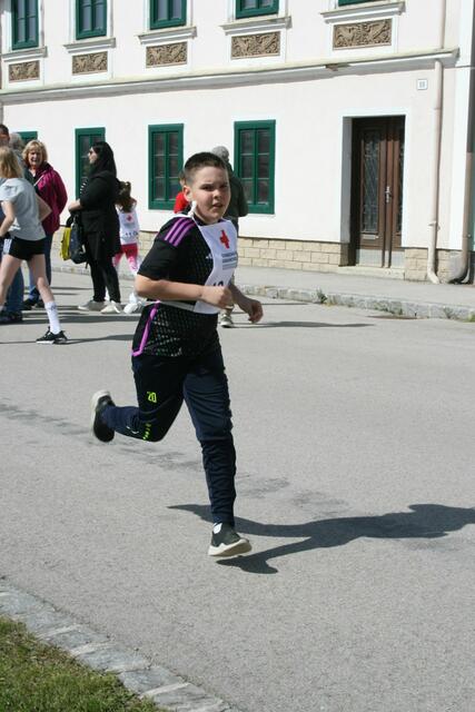 Foto: Heidemarie Horak