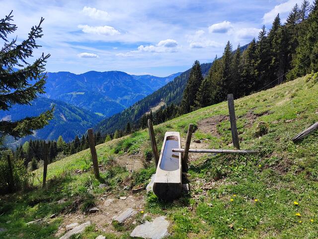 bald wird sich das Almvieh über den Brunnentrog freuen... | Foto: I.Wozonig