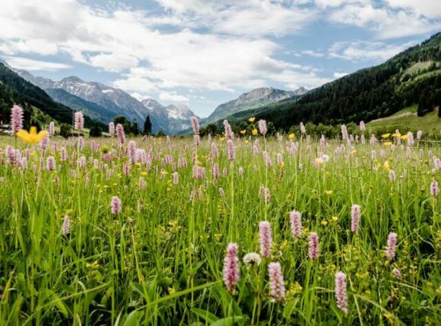 Aus Wagrain-Kleinarl kommen sogar zwei Nominierte: "Bio aus dem Tal" und Wagrain-Kleinarl Tourismus. | Foto: Wagrain-Kleinarl Tourismus/Eduardo Gellner