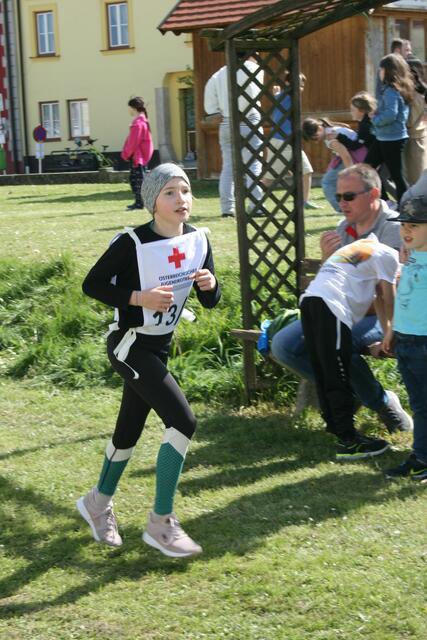 Foto: Heidemarie Horak
