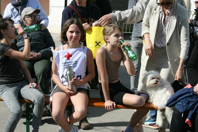 Foto: Heidemarie Horak