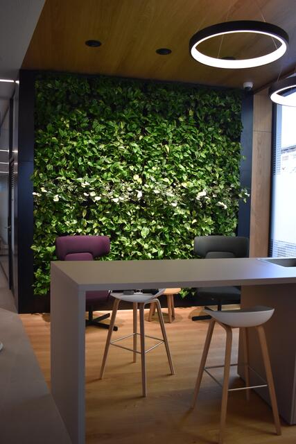Die Greenwall lebt und sorgt für ein angenehmes Raumklima.  | Foto: Karin Bayr