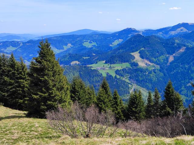 tüchtig waren wir schon, bei der Wiese unten sind wir gestartet, rechts hinten sieht man die Ausläufer von der Teichalm und der Sommeralm... | Foto: I.Wozonig