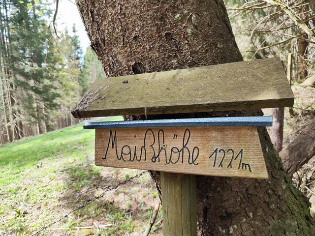 an der Stelle wendet sich der Weg nach links durch einen kleinen Wald... | Foto: I.Wozonig