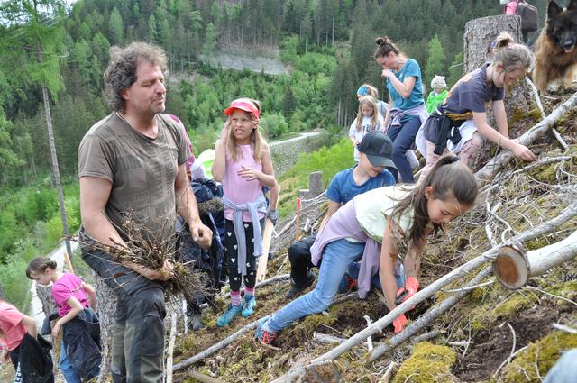 Alle halfen mit, den Wald wieder aufzuforsten.
