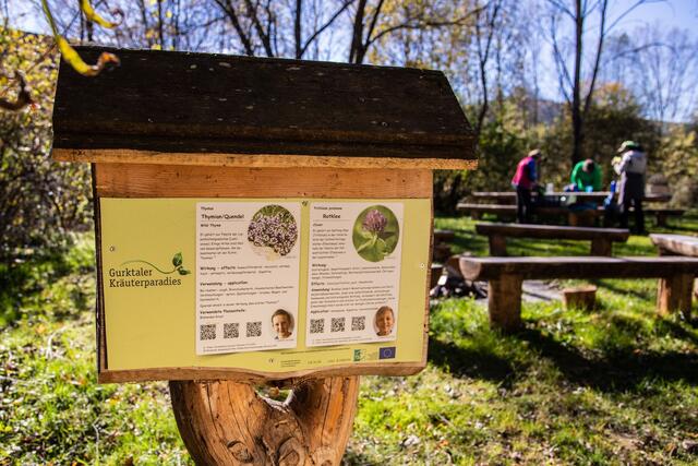 Das Biotop am Gurkknie lädt zu einer erholsamen Rast ein. | Foto: Tourismusregion Mittelkärnten/Elias Jerusalem