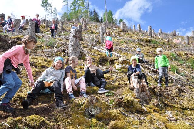 Wo kein Baum mehr stand, haben die SchülerInnen für Nachwuchs gesorgt.