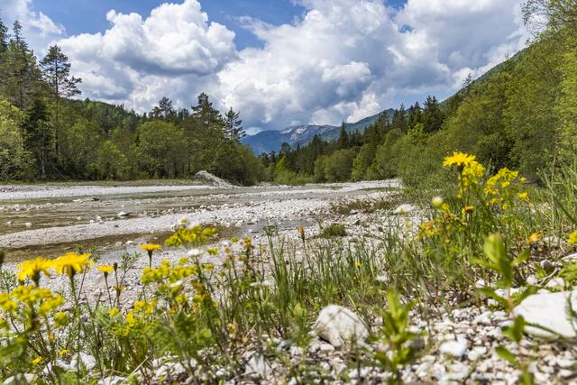 Das Lassingtal trägt seit 2021 den "Titel" Wildnisgebiet, das ist die höchstmögliche Schutzgebietskategorie überhaupt. | Foto: Theo Kust