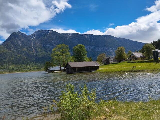 Foto: Veronika Frank