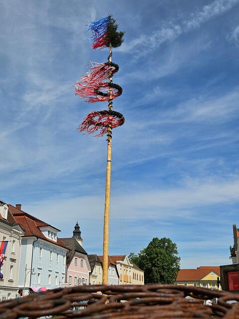 Vor kurzem stand der Eferdinger Maibaum noch. | Foto: Stadtgemeinde Eferding