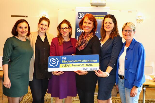 GRin Zsuzsanna Fluch, GRin Patrizia Wolkerstorfer, NRin Carmen Jeitler-Cinicelli, StRin Angela Stöckl-Wolkerstorfer, StRin Petra Haslinger und GRin Judith Händler.
 | Foto: WirNiederösterreicherinnen