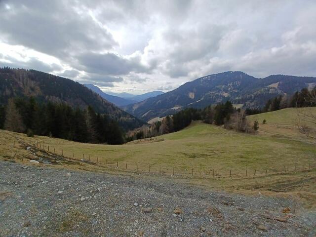 da unten ist das Breitenauer Tal, links hinten der Hochlantsch, rechts der Hochschlag... | Foto: I.Wozonig