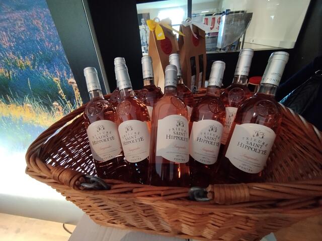 Foto: Veronika Frank