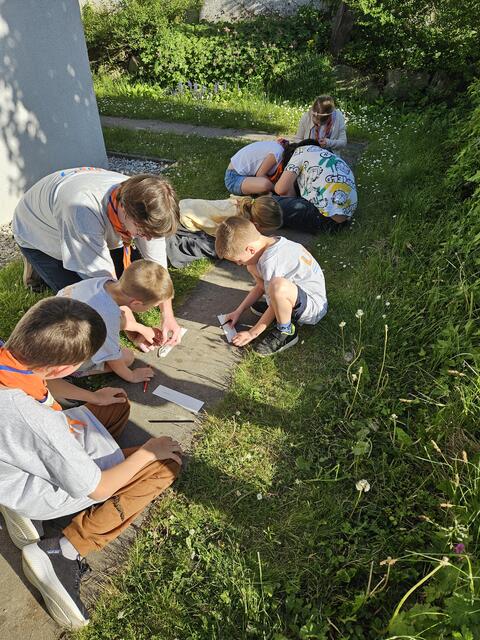 Foto: BRS/Püringer