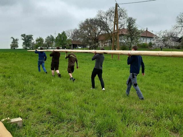 Die Wolferner Landjugend fladert gerne andere Maibäume. | Foto: LJ Wolfern