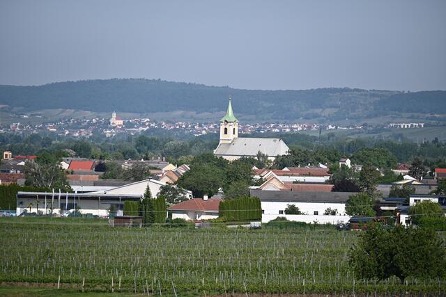 Gute Sicht: Weiden und hinten Jois