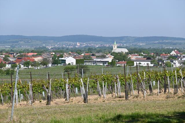 Ich gehe weiter, wieder Ausblick