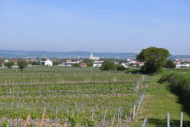 Blick zurück nach Weiden