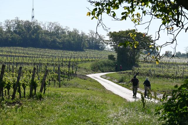 Mit Fotoausrüstung unterwegs auf dem Güterweg hinauf