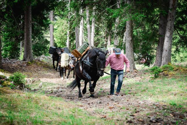 Die Tiere zeigten auch im unwegsamen Gelände ihre Können. | Foto: Fitsch