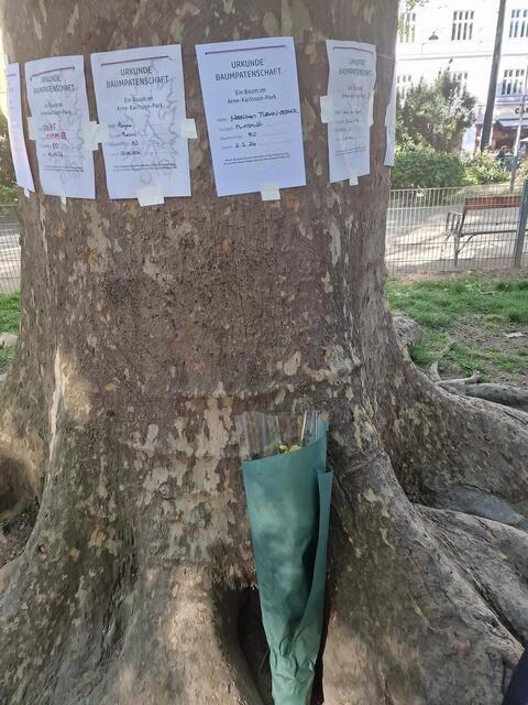 © H. Ada, A. Bayizitlioglu-Kücet