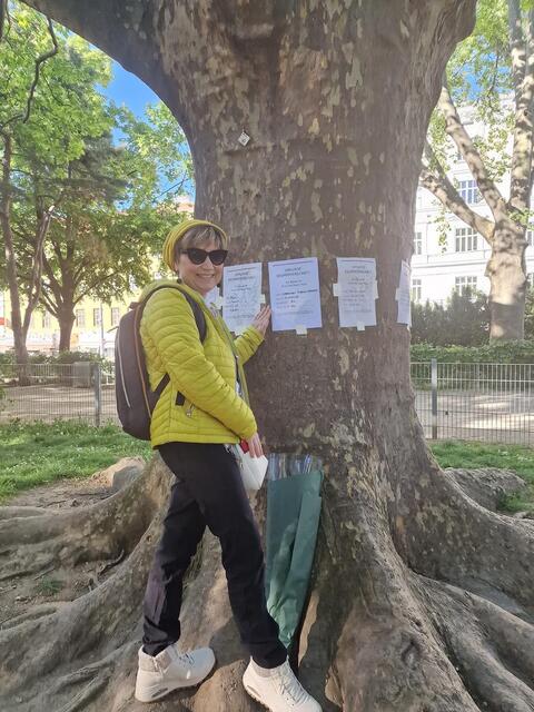 © H. Ada, A. Bayizitlioglu-Kücet