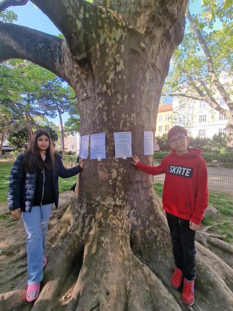 © H. Ada, A. Bayizitlioglu-Kücet